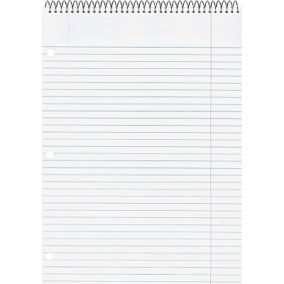 Rediform Porta-Desk 1-Subject Notebooks (RED31186)