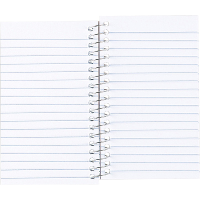 Rediform Spiralbound Memo Book (RED31220)