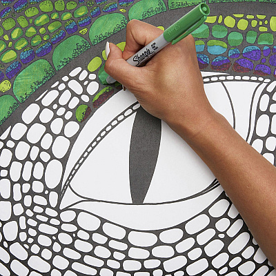 Sharpie Precision Permanent Markers (SAN37003)