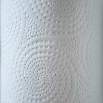 Genuine Joe Kitchen Roll Flexible Size Towels (GJO24080)