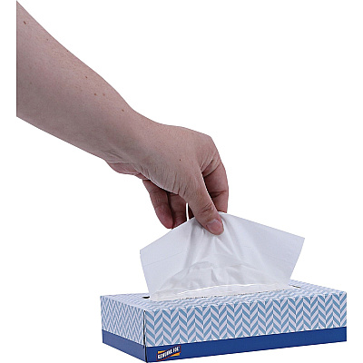 Genuine Joe Facial Tissue (GJO26100)