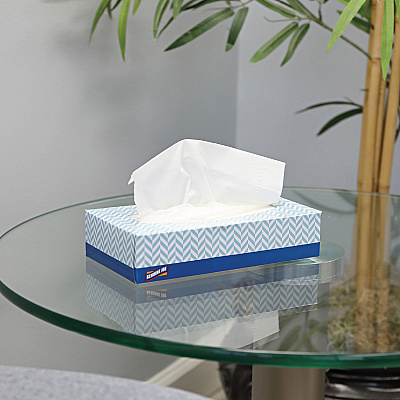 Genuine Joe Facial Tissue (GJO26100)
