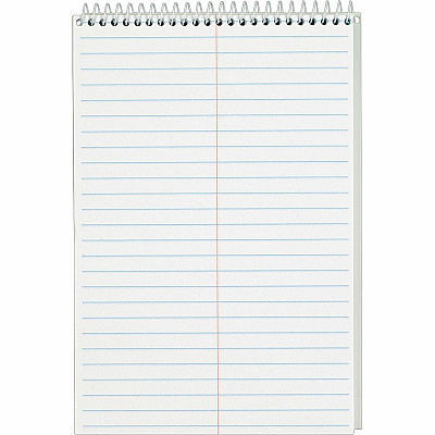 TOPS Steno Books (TOP8020)