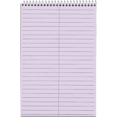 TOPS Prism Steno Books (TOP80264)