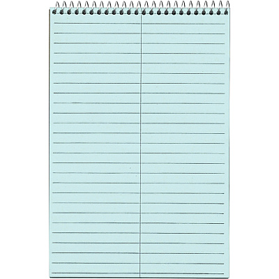 TOPS Prism Steno Books (TOP80284)