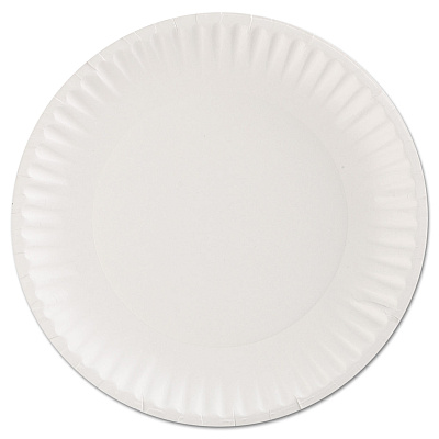 AJM Packaging Paper Plates, 9" dia, White, 100/Pack (AJMPP9GRAWHPK)