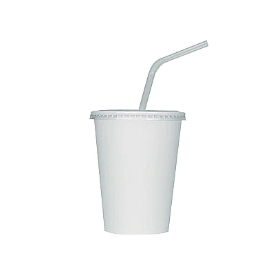 Karat Double Poly Paper Cold Cups, 12 oz, White, 1,000/Carton (KRTCKCP12W)