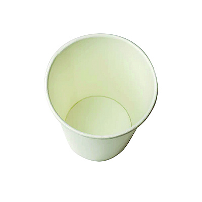 Karat Double Poly Paper Cold Cups, 9 oz, White, 1,000/Carton (KRTCKCP9W)