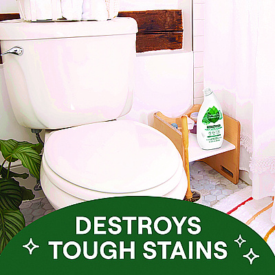 Seventh Generation Toilet Bowl Cleaner, Fresh Mint Scent, 24 oz Bottle, 4/Carton (SEV45166CT)