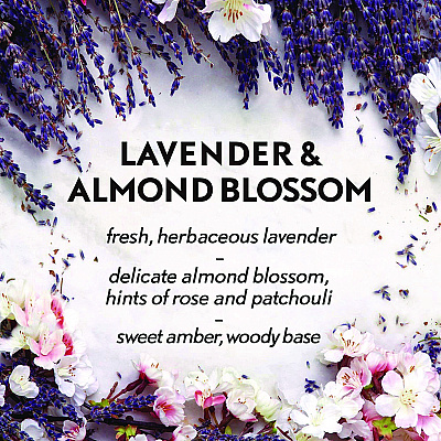Air Wick Essential Mist Starter Kit, Lavender and Almond Blossom, 0.67 oz Bottle, 4/Carton (RAC98576)