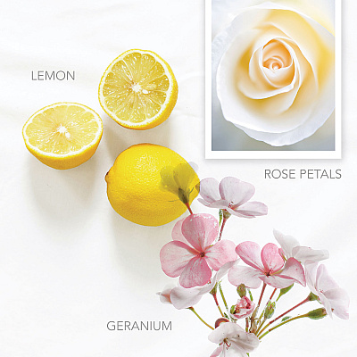 Pure by Gloss Hand Wash, Vibrant Lemon Scent, 12.2 oz, 12/Carton (GIS100427)
