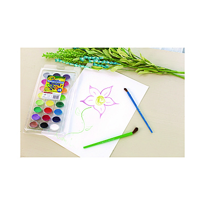 Crayola Washable Watercolor Paint, 24 Assorted Colors, Palette Tray (CYO530524)