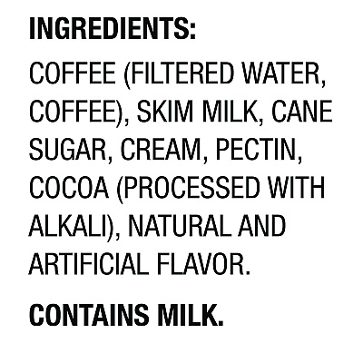 International Delight Iced Coffee, Mocha, 15 oz Can, 12/Carton (ITDWWI07818)