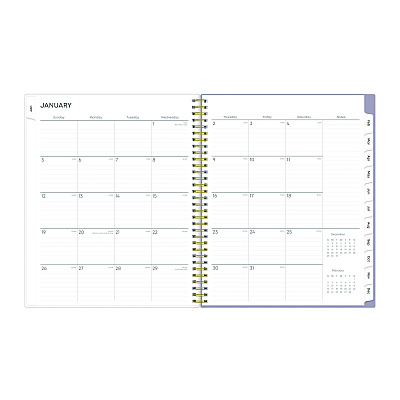 Blue Sky Tula Weekly/Monthly Planner, Floral Artwork, 11" x 8.5", Purple/Pink/White Cover, 12-Month (Jan to Dec): 2026 (143971)