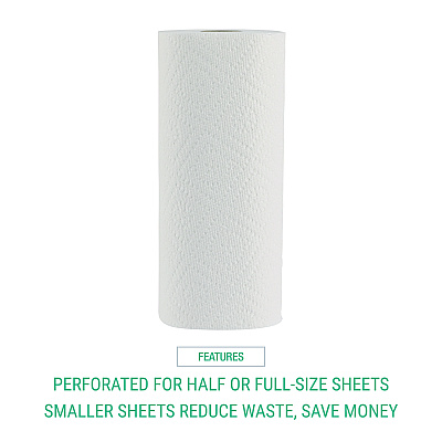 Windsoft Premium Kitchen Roll Towels, 2-Ply, 11 x 6, White, 110/Roll, 12 Rolls/Carton (WIN12216)