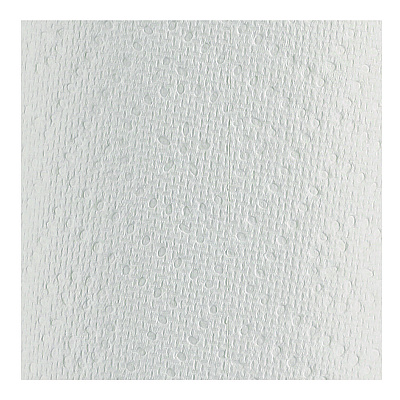 Windsoft Premium Kitchen Roll Towels, 2-Ply, 11 x 6, White, 110/Roll, 12 Rolls/Carton (WIN12216)