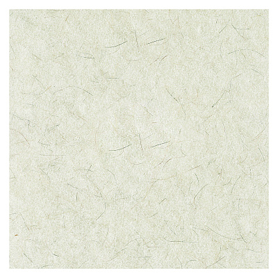Boardwalk Natural Burnishing Floor Pads, 17" Diameter, White, 5/Carton (BWK4017NAT)