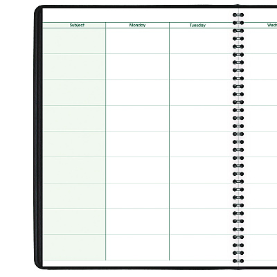 AT-A-GLANCE Undated Teacher's Planner, Weekly, Two-Page Spread (Nine Classes), 10.88 x 8.25, Black Cover (AAG8015505)