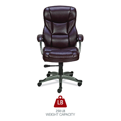 Alera Birns Series High-Back Task Chair, Supports Up to 250 lb, 18.11" to 22.05" Seat Height, Brown Seat/Back, Chrome Base (ALEBN41B59)