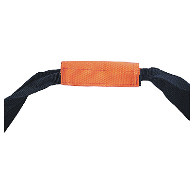 Champion Sports Forged Steel Horseshoe Set, 4 Horseshoes/2 Stakes/Carry Bag/Rules Sheet (CSICG210)