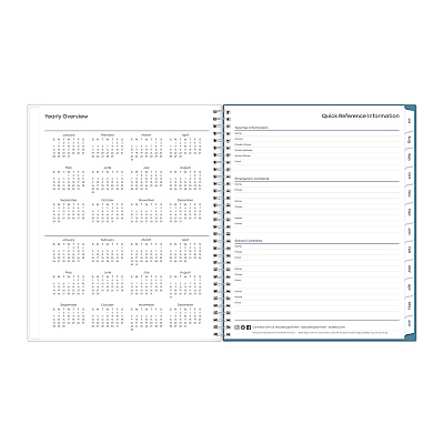 Blue Sky Ditsy Dapple Light CYO Cover Weekly/Monthly Lesson Planner, 9 Classes, 11 x 8.5 Sheets, 12-Month (July to June), 2025 to 2026 (132002)