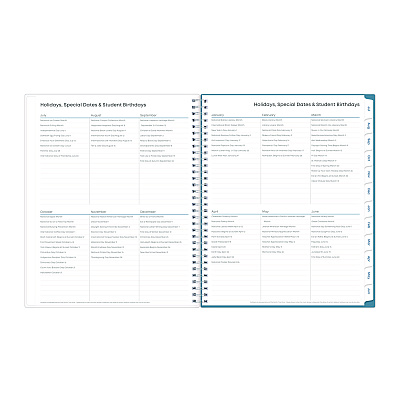 Blue Sky Ditsy Dapple Light CYO Cover Weekly/Monthly Lesson Planner, 9 Classes, 11 x 8.5 Sheets, 12-Month (July to June), 2025 to 2026 (132002)