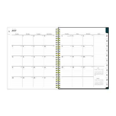 Blue Sky Greta Academic Year Weekly/Monthly Planner, Floral Artwork, 11.5 x 8, Green Cover, 12-Month (July-June): 2025 to 2026 (136479)