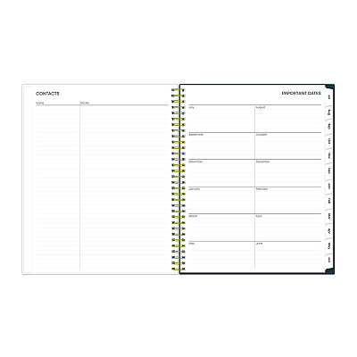 Blue Sky Greta Academic Year Weekly/Monthly Planner, Floral Artwork, 11.5 x 8, Green Cover, 12-Month (July-June): 2025 to 2026 (136479)