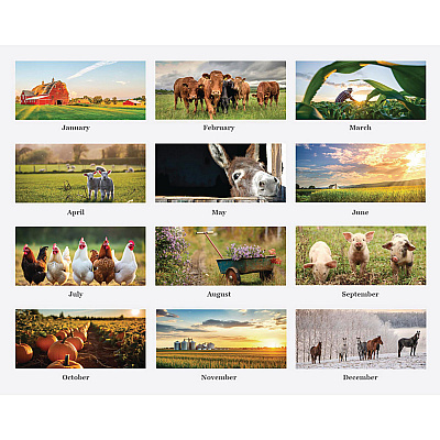 House of Doolittle 100% Recycled Farm Life Wall Calendar, 11 x 14, White/Multicolor Sheets, 12-Month (Jan-Dec): 2026 (316)