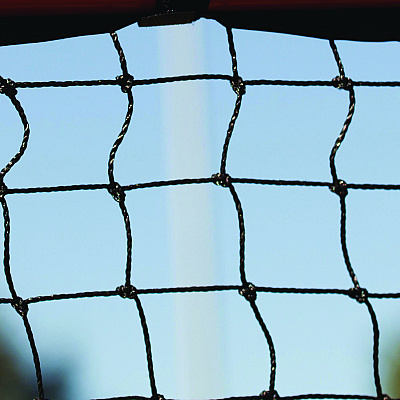 Champion Sports Backyard Lacrosse Goal and Net, 6 ft x 6 ft, 1.5" dia Frame (CSILNGL)