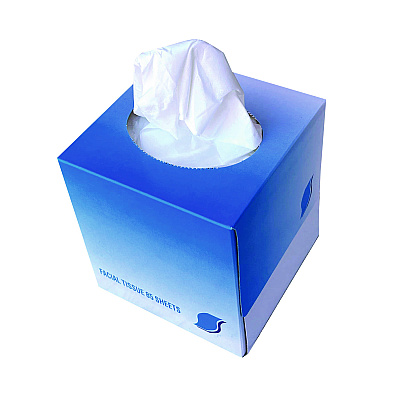 GEN Facial Tissue Cube Box, 2-Ply, White, 85 Sheets/Box, 36 Boxes/Carton (GEN852E)