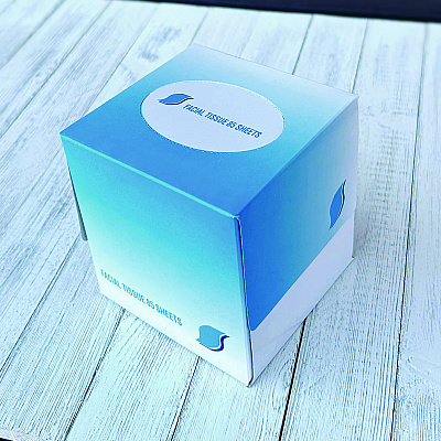 GEN Facial Tissue Cube Box, 2-Ply, White, 85 Sheets/Box, 36 Boxes/Carton (GEN852E)