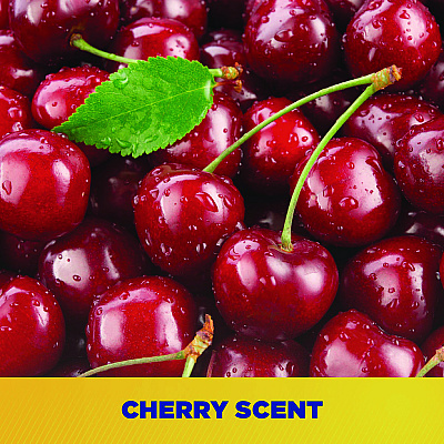 Zep Professional Professional Professional Cherry Bomb Hand Cleaner Refill, Cherry Scent, 1 gal (ZPE95124EA)