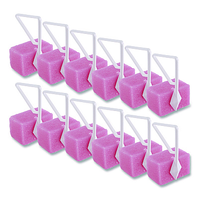 Boardwalk Toilet Bowl Para Deodorizer Block, Cherry Scent, 4 oz, Pink, 12/Box (BWKB04BX)