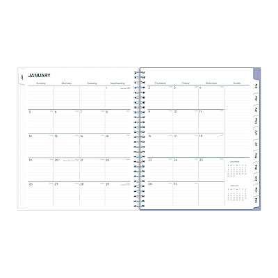 Blue Sky Rue Du Flore Monthly Planner, Floral Artwork, 10 x 8, Jade/Lavender Cover, 12-Month (Jan to Dec): 2026 (101605)