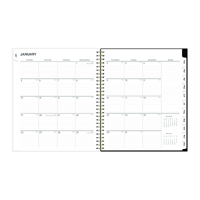 Blue Sky Baccara Dark Monthly Planner, Floral Artwork, 10 x 8, Gray/Black/Gold Cover, 12-Month (Jan to Dec): 2026 (110216)