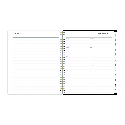 Blue Sky Baccara Dark Monthly Planner, Floral Artwork, 10 x 8, Gray/Black/Gold Cover, 12-Month (Jan to Dec): 2026 (110216)