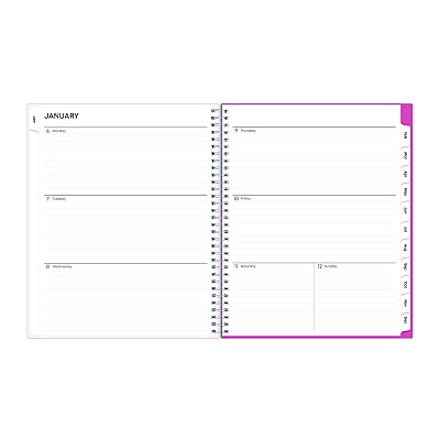 Blue Sky Breast Cancer Awareness Create-Your-Own Cover Weekly/Monthly Planner, Orchids Artwork, 11 x 8.5, 12-Month (Jan to Dec): 2026 (137268)