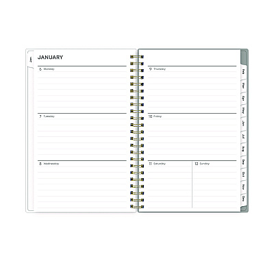 Blue Sky Sophie Frosted Weekly/Monthly Planner, Floral Artwork, 8 x 5, Multicolor Cover, 12-Month (Jan to Dec): 2026 (140088)