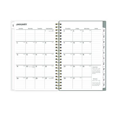 Blue Sky Sophie Frosted Weekly/Monthly Planner, Floral Artwork, 8 x 5, Multicolor Cover, 12-Month (Jan to Dec): 2026 (140088)