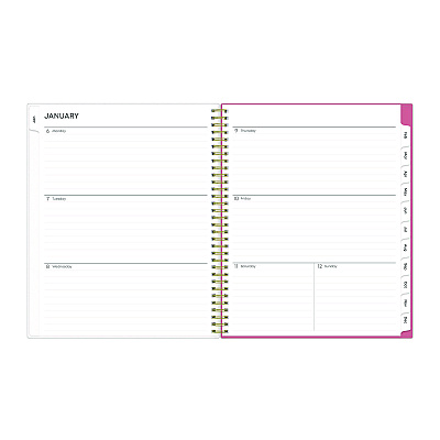 Blue Sky Fly By Frosted Weekly/Monthly Planner, Butterflies Artwork, 11 x 8.5, Blush/Pink Cover, 12-Month (Jan to Dec): 2026 (140195)