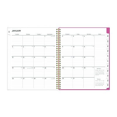 Blue Sky Fly By Frosted Weekly/Monthly Planner, Butterflies Artwork, 11 x 8.5, Blush/Pink Cover, 12-Month (Jan to Dec): 2026 (140195)