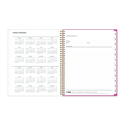 Blue Sky Fly By Frosted Weekly/Monthly Planner, Butterflies Artwork, 11 x 8.5, Blush/Pink Cover, 12-Month (Jan to Dec): 2026 (140195)