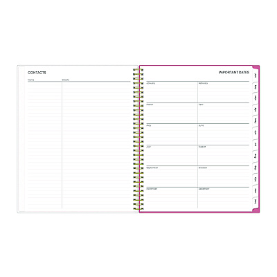 Blue Sky Fly By Frosted Weekly/Monthly Planner, Butterflies Artwork, 11 x 8.5, Blush/Pink Cover, 12-Month (Jan to Dec): 2026 (140195)