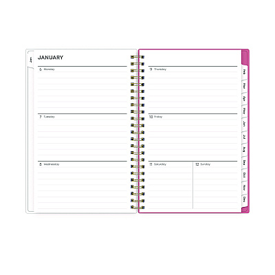 Blue Sky Fly By Frosted Weekly/Monthly Planner, Butterflies Artwork, 8 x 5, Blush/Pink Cover, 12-Month (Jan to Dec): 2026 (140196)