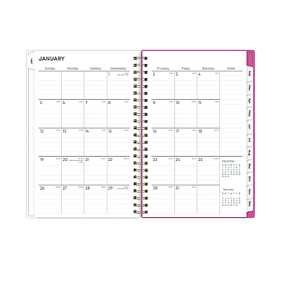 Blue Sky Fly By Frosted Weekly/Monthly Planner, Butterflies Artwork, 8 x 5, Blush/Pink Cover, 12-Month (Jan to Dec): 2026 (140196)