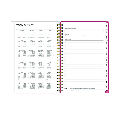 Blue Sky Fly By Frosted Weekly/Monthly Planner, Butterflies Artwork, 8 x 5, Blush/Pink Cover, 12-Month (Jan to Dec): 2026 (140196)
