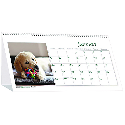 House of Doolittle Earthscapes Recycled Desk Tent Monthly Calendar, Puppies Photography, 8.5 x 4.5, White Sheets, 12-Month (Jan to Dec): 2026 (3659)