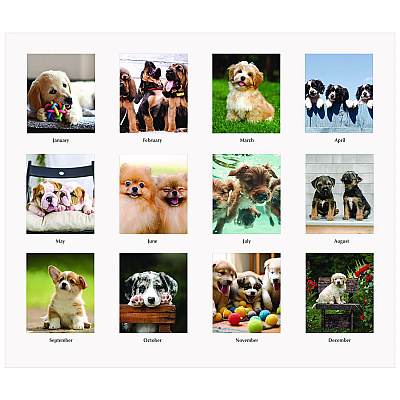 House of Doolittle Earthscapes Recycled Desk Tent Monthly Calendar, Puppies Photography, 8.5 x 4.5, White Sheets, 12-Month (Jan to Dec): 2026 (3659)