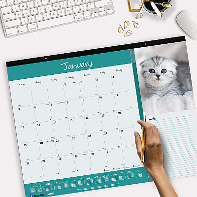 Blueline Pets Collection Monthly Desk Pad, Furry Kittens Photography, 22 x 17, White Sheets, Black Binding, 12-Month (Jan-Dec): 2026 (C194115)